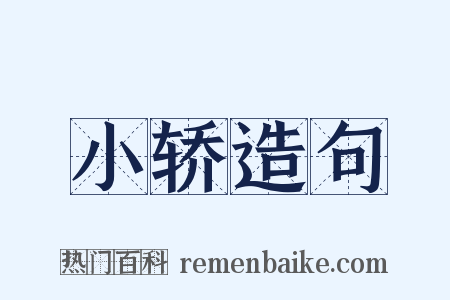 小轿造句是什么意思的图片